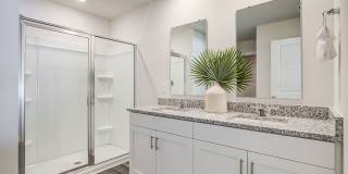 Jackey's Ridge Gallery 15