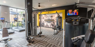 Anderson Flats Gallery 18