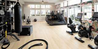 Ava Newport Gallery 8