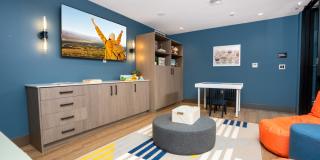 Alexan Main Street Gallery 57