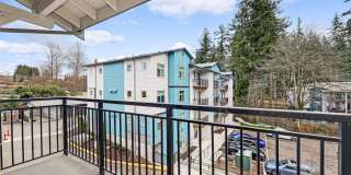 Allegro Lynwood Gallery 78