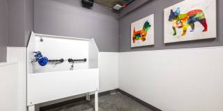 Zig Apartments Gallery 56