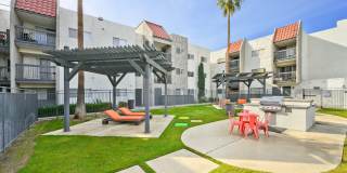 THE MODERN CACTUS Gallery 26