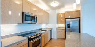 The Grand Gallery 78