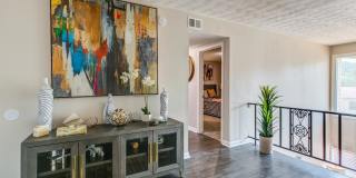 Elite at City View Gallery 8