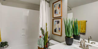 Avana Gilbert Gallery 7