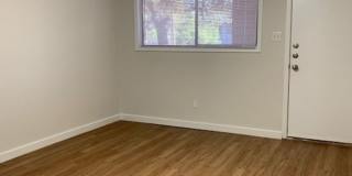 Bouldin Creek Gallery 33
