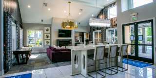The Colonnade Luxury Townhome Apartments Gallery 4