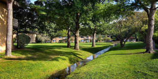 Oak Park Gallery 14