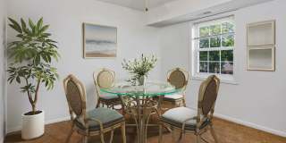Deertree Gallery 7