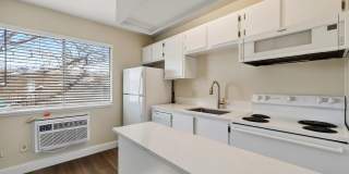 WHEELER 338 Gallery 1