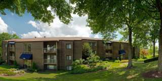 Plum Tree Gallery 30