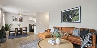 Irwin Park Gallery 15