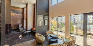 Forena Revelstoke Gallery 29