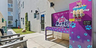 Axis Camelback Gallery 30