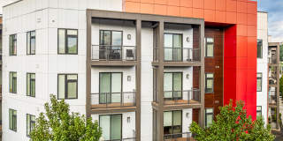 5 Points Northshore Gallery 39