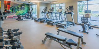 The District Gallery 53