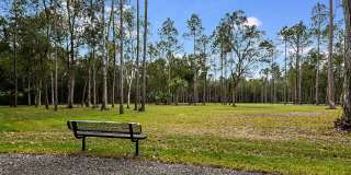 Grand Cypress Gallery 32