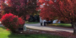 CDA Place Neighborhood- 4 bed with basement, cul de sac Gallery 5