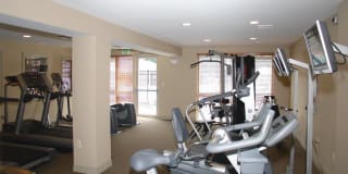 Crystal Springs Gallery 14