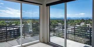 Vine at Panorama Gallery 10