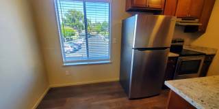 Manzanita Woods Gallery 1