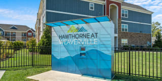 Hawthorne at Weaverville Gallery 25