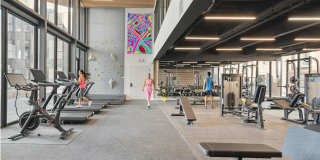 The Luxe Gallery 10