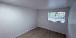 Wellington Place Apartments Gallery 81