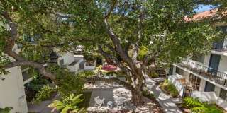 Live the American Riviera Experience! Live the American Riviera Experience! Gallery 22