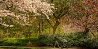 The Magnolia Gallery 38