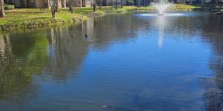 Siesta Lago - gated community- 1/1 unit on 2nd floor Gallery 39