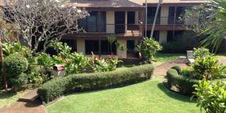 Coconut Inn Gallery 18