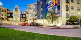 5 Mockingbird Gallery 50