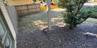 Bright 3 Bedroom 1 Bath in NW Corvallis ~ Small Dogs Welcome! Gallery 24