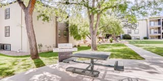 Sterling Heights Gallery 33