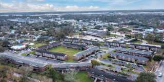 Sea Oats Sea Oats Gallery 15