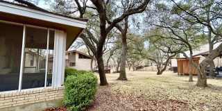 29608 TERRA VIS Gallery 17
