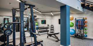 Arcadia 331 Gallery 16