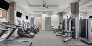 Stella Apartments Uptown Gallery 18