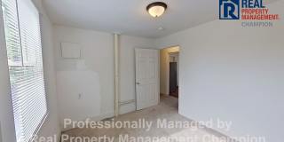 Fully Updated 3 BD/1 BA Cottage w/Covered Porch, Off-Street Parking, W/D Included Gallery 16