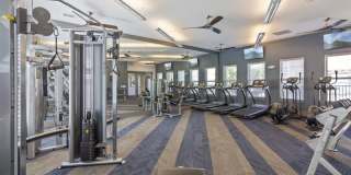 McKinney Pointe Gallery 14