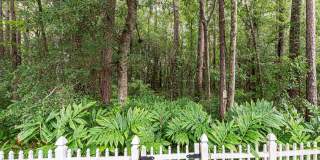 1527 MARBLE LAKE Drive 1527 MARBLE LAKE Drive Gallery 45