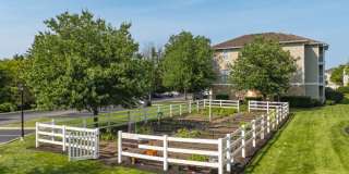Brandywine Woods Gallery 25