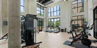 Alta West Morehead Gallery 30