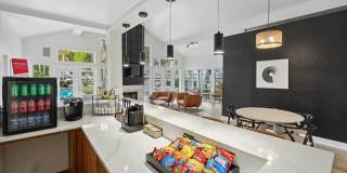Oasis of Mandarin - Apartments & Townhomes Gallery 4