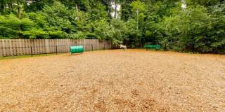 Wayzata Woods Wayzata Woods Gallery 39