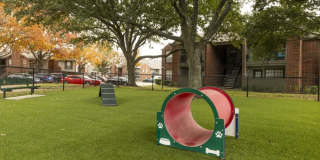 Mount Vernon Gallery 23