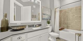 Novus Westshore Novus Westshore Gallery 21