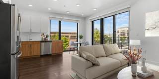 The Olive The Olive Gallery 37